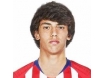 Joao Felix