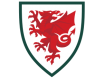 Wales MM-kisat 2022 Miesten
